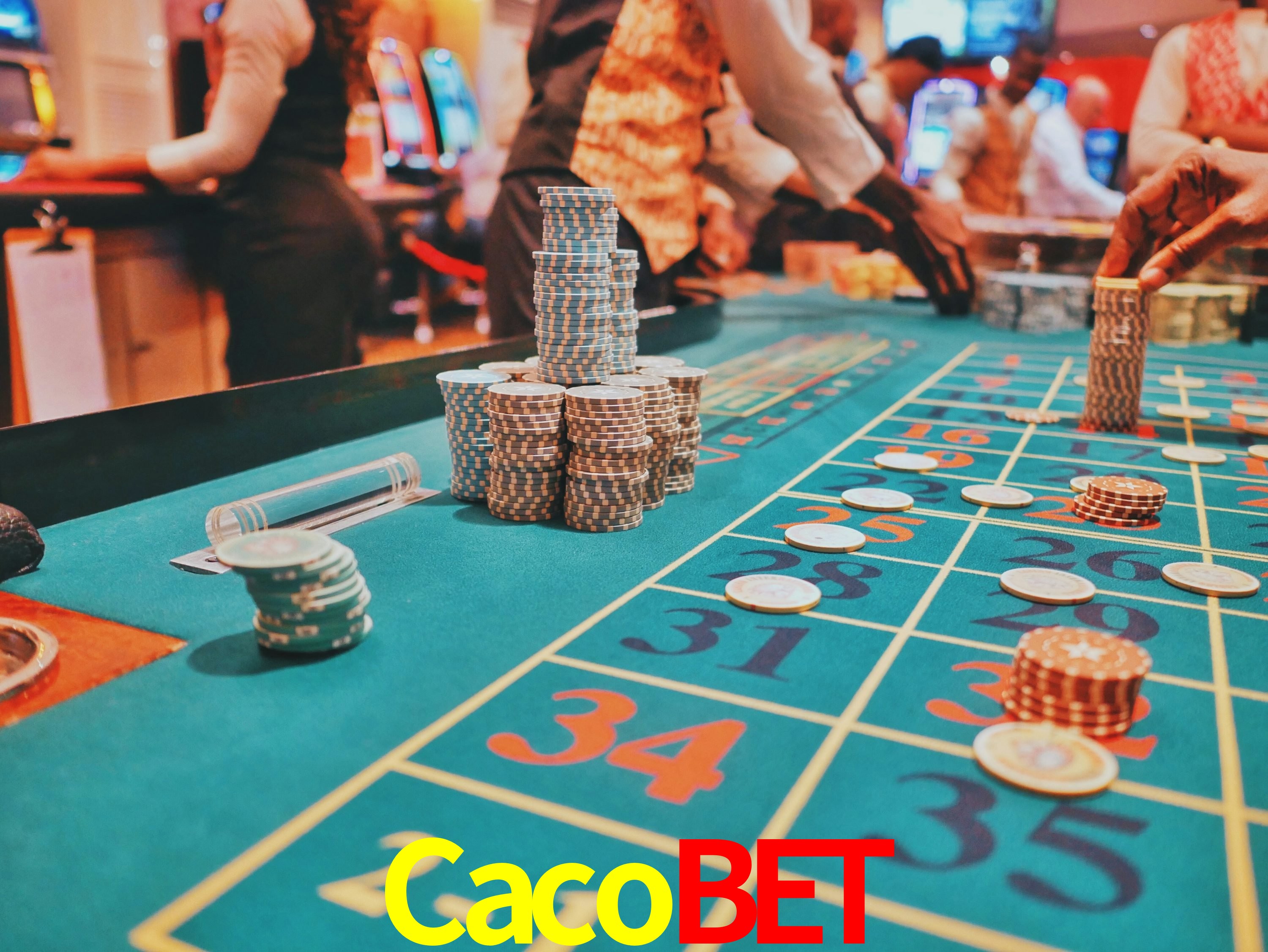Tennis Betting Cacobet